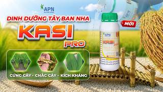 APN - DINH DƯỠNG TÂY BAN NHA KASI PRO | CỨNG CÂY - CHẮC CẬY - KÍCH KHÁNG | SẢN PHẨM MỚI