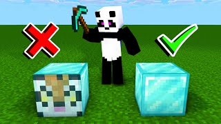 HIDE AND SEEK IMPOSIBIL in MINECRAFT *SUNTEM BLOCKURI*