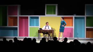 MVHS Drama 2016 Presents: Bye Bye Birdie