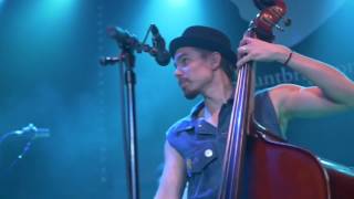 Steve'n'Seagulls November Rain Live at The Haunt Brighton 14th November