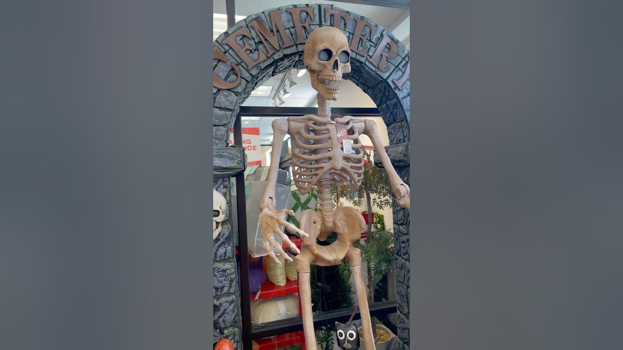 Halloween decorations at Home Goods #halloween2025#halloweendecor#spookyseason#pumpkins#skeleton Halloween decorations at Home Goods #halloween2025#halloweendecor#spookyseason#pumpkins#skeleton