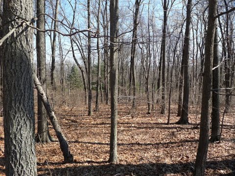28 Danville Mountain Rd, Liberty Twp., NJ home video tour