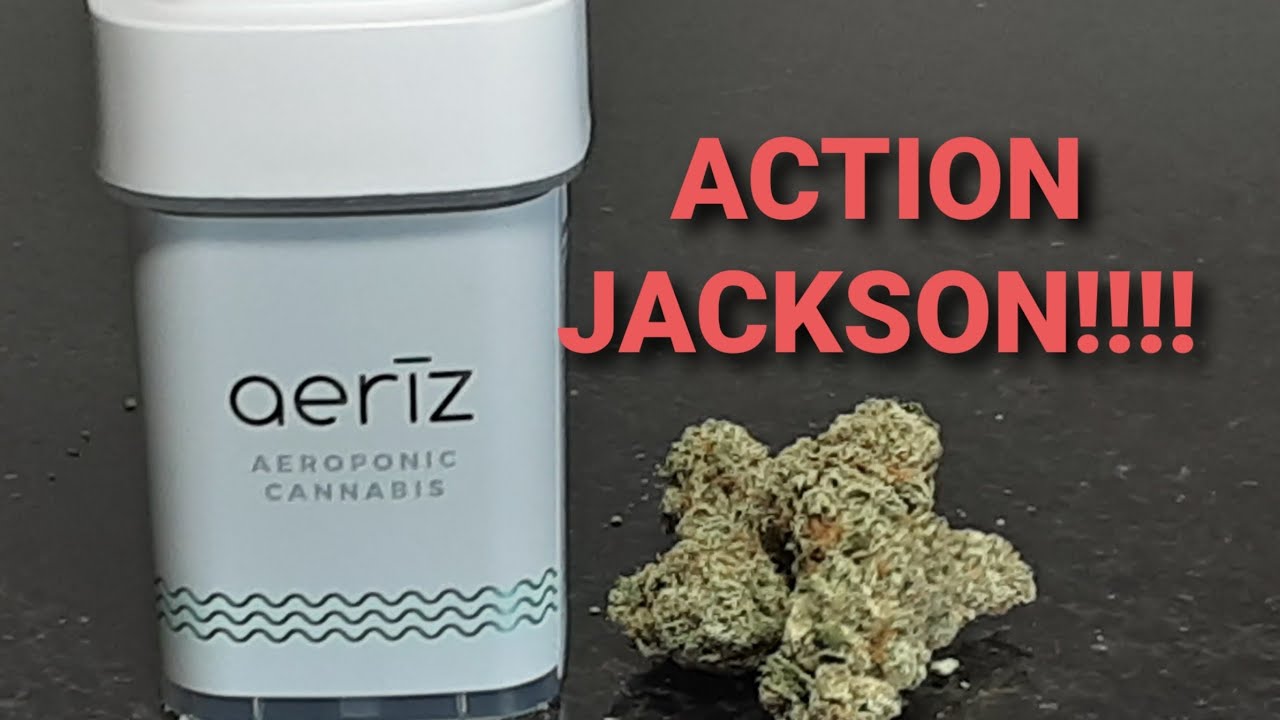 JACK HERER STRAIN REVIEW