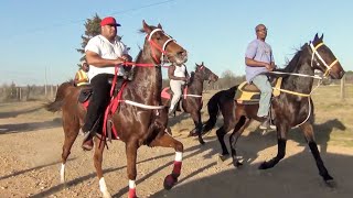 2024 Ashdown Singlefoot and Racking Horse Trail Ride