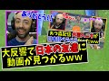 #2【あつ森】実はめっちゃ日本語ペラペラだった外国人ニキAlex、日本の友達に動画が見つかってしまうｗｗ【日本語字幕付き/ あつまれどうぶつの森】