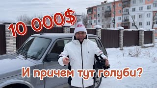 ДЕСЯТЬ ТЫСЯЧ ДОЛЛАРОВ, И ПРИЧЕМ ТУТ ГОЛУБИ?!