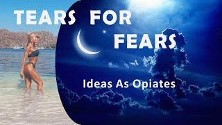 Tears For Fears "Ideas As Opiates"