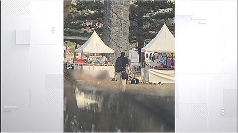 Video shows 2 gunmen shooting dead at least 11 at Sydney’s Bondi Beach