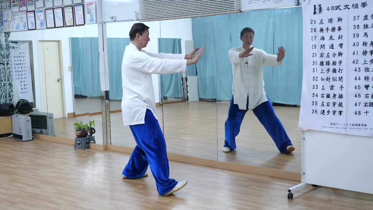Practice, Practice, Practice] #228 48-Form Tai Chi [Section 6