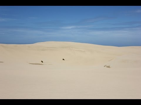 Formation of Sand Dunes: Coastal Processes Part 5 of 6