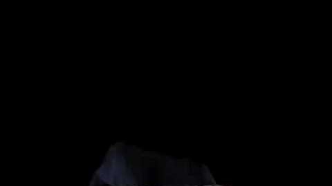 MorphableAnimatedModel