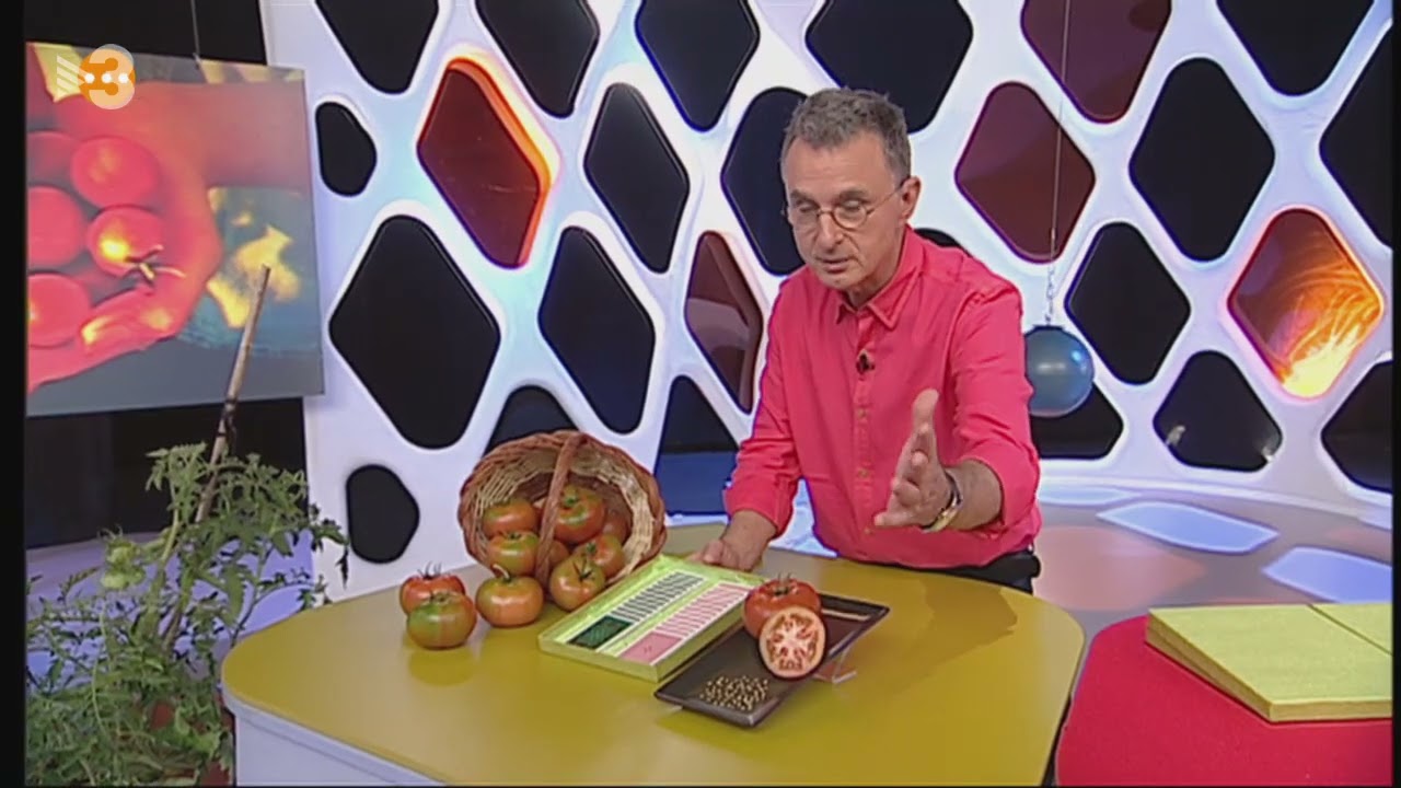 Genètica què qui com