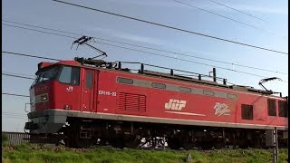 EF510-22牽引高速貨物3097ﾚ　岡山→新潟　信越本線下り