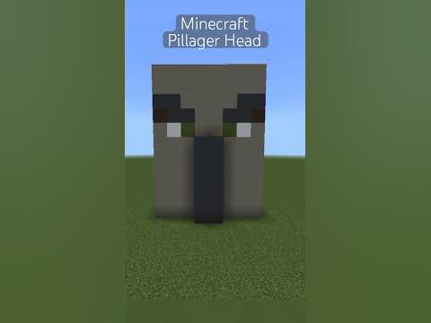 Minecraft Pillager Head #shorts - YouTube