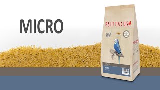 Micro (versió en català)