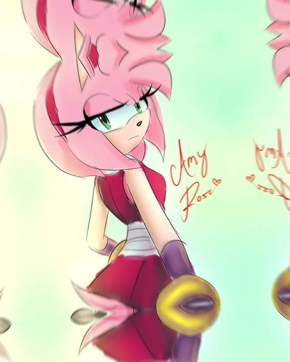 Pota Pota 💕 Amy Rose
