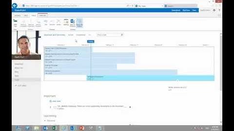 SharePoint 2013 My Site architecture and administration