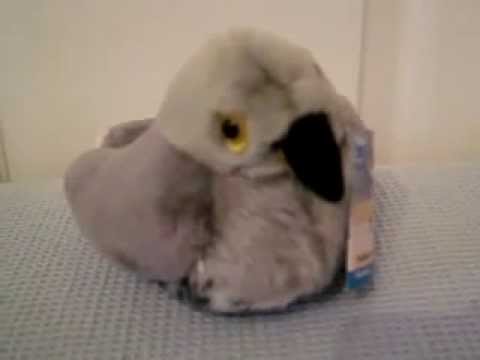 WILD REPUBLIC Мягкая игрушка со звуком "Кукушка" в IqToy WILD REPUBLIC Мягкая игрушка со звуком "Кукушка" в IqToy