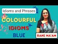 COLOURFUL IDIOMS | Idioms and Phrases With Meanings in English | For SSC & Bank [Hindi] | Part-2