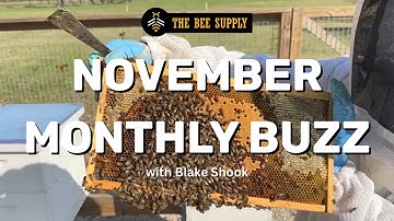 November 🐝 Monthly Buzz Webinar 2025