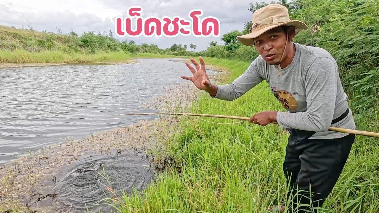 ใส่เบ็ดปลาชะโด สูตรลุงน้อย พรานต้อม ครั้งแรก