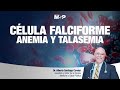 Célula Falciforme Anemia y Talasemia - #ExclusivoMSP