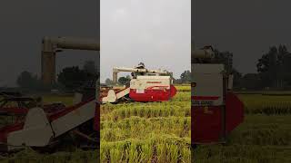 Kubota combine harvester  #automobile #powertiller #newpowertiller