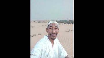 سورة النصر - قراءة بريكه جمال