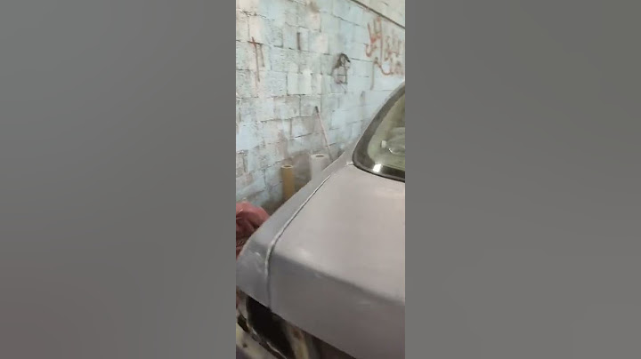 تجديد مكسيما ١٩٩٩