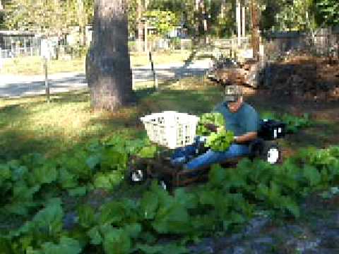 Homebuilt Power Garden Cart 2 Youtube