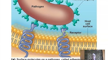Ch 15 Microbial Mechanisms of Disease