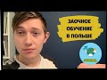 ЗАОЧНОЕ ОБУЧЕНИЕ В ПОЛЬШЕ | ВСЯ ПРАВДА О ЗАОЧКЕ В ПОЛЬШЕ | КАК ПОСТУПИТЬ НА ЗАОЧКУ? | ЖИЗНЬ В ПОЛЬШЕ