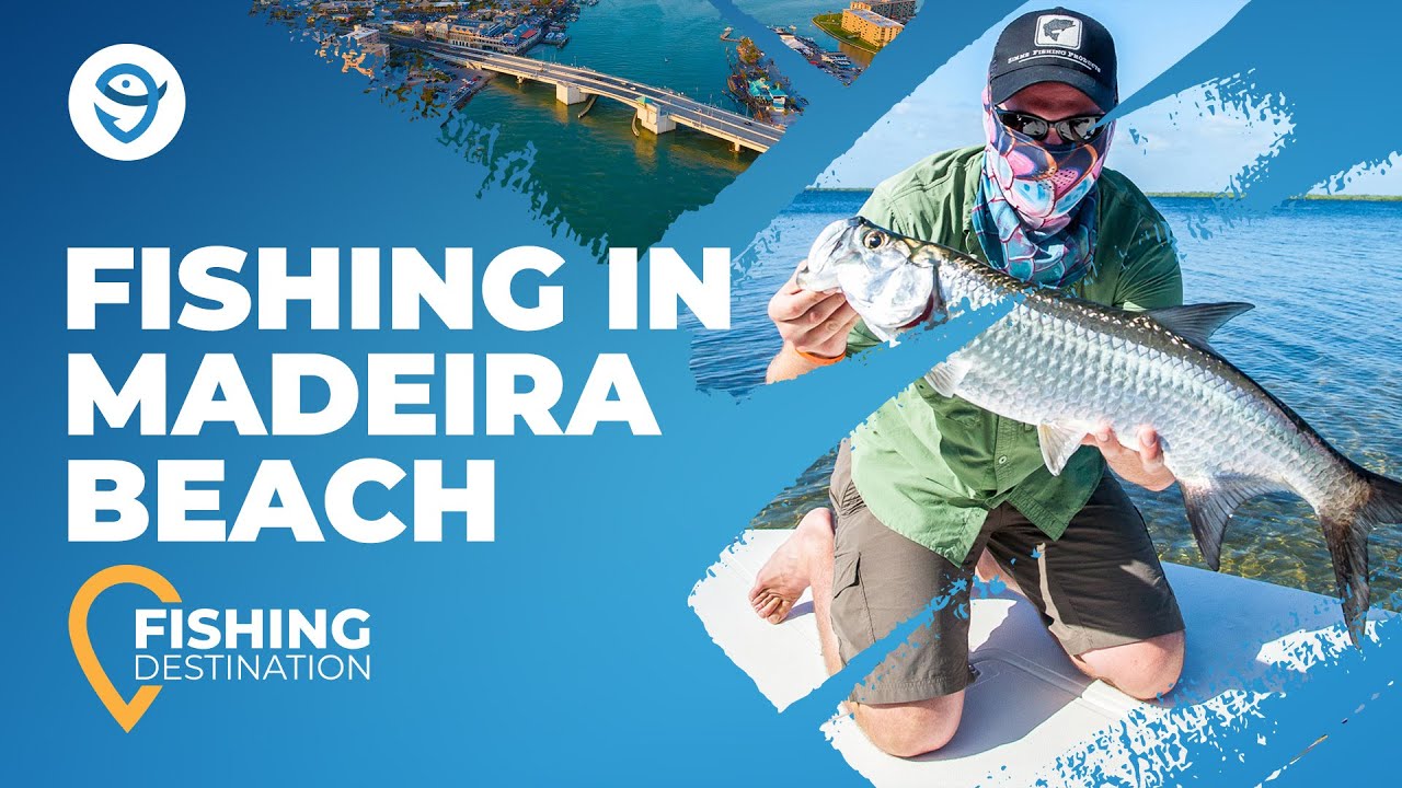 Fishing in Madeira Beach, FL: The Complete Guide