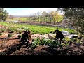 Planting Perennials with My Mom! 🌿🙌🥰 // Garden Answer