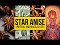 Star Anise: Spiritual and Magical Uses | Yeyeo Botanica