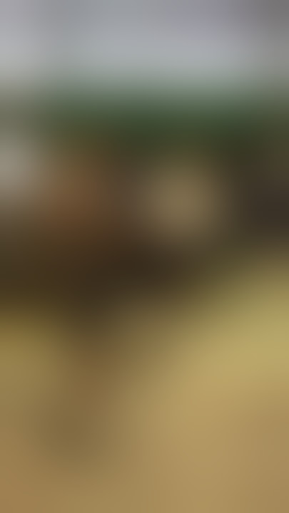 Suporter Inggris Ngamuk