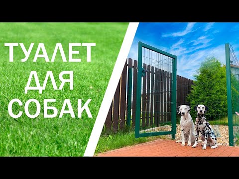 Туалет для собак на участке, как сделать и приучить собак