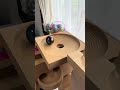 Marble Run☆Spinning Red Bird & HABA Wooden Set１
