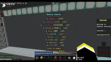Hypixel NEW housing lobby bug