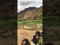 Harargee Masalaa Harargee Masalaa