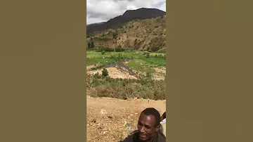 Harargee Masalaa 