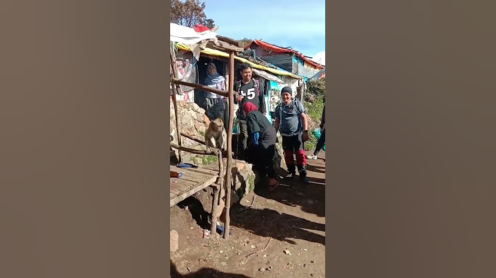 Temon, Peliharaan Mbok Yem di Gunung Lawu #shorts