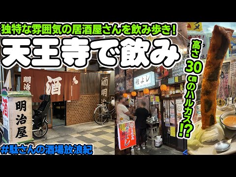紹介動画「【飲み歩き 125】天王寺で飲み「明治屋」「種よし」「十八番ラーメン」」のサムネイル