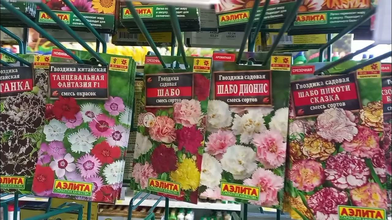 садовый центр липецк каталог. садовый центр липецк каталог. садовый центр липецк на катукова каталог. питомник растений в томаровке белгородской. дачный магазин рядом со мной.