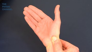 Scaphoid Stress Test