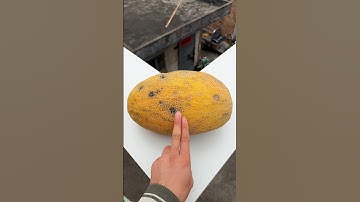 Experiment: Watermelon vs. Cantaloupe: Will it explode if rolled down a tall building? 🍉💥#shorts