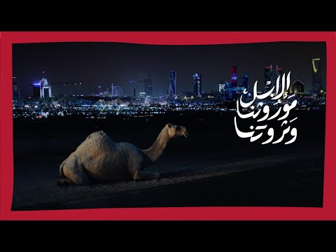 الإبل موروثنا وثروتنا