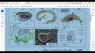 حل تمارين متنوعة مراجعة لاختبار الفصل الثالث ثانية متوسط