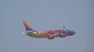 Southwest Airlines Boeing 737 MAX 8 N8710M LGB Flyover Imua One (Heart of Hawaii) livery