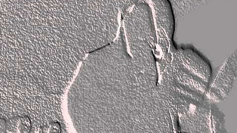 MIZTA NYSOM //ARMAROTTI //